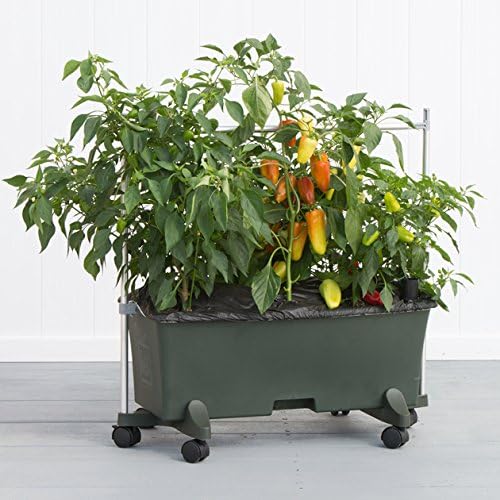 EarthBox 81031.06 System, Green, 3 ft. Garden Stakes, 3-Foot - Image 2