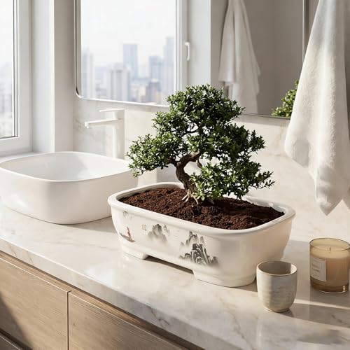 8" Bonsai Pots with Tray, Rectangular Planter in Blue & White - Image 5