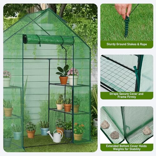 Outvita Walk-in Greenhouse, 3 Tiers 4 Shelves, Durable PE, 56"x29"x77" - Image 5