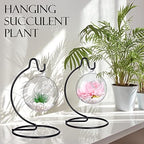 Tatuo 50 Pcs Ornament Display Stand Glass Ball Holder Hanger Stand - Image 2
