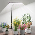 GYTF Super-Bright Plant Grow Light, 6000K 108LEDs Full Spectrum Plant Lamp with Timer 4/8/12Hrs & Height Extendable for Home Office Desktop Indoor Plants, 12V 3A High Power Output for Faster Growth by GYTF