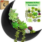 Wall Planter - Window Planter - 14Pcs Artificial Succulents - Hanging Moon Planter - Boho Hanging Planters for Indoor Plants, Air Plant, Cactus, Faux, Unique Gifts for Women, Birthdays, Plant Lovers by Oakadoaks