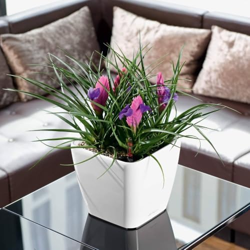 LECHUZA 16120 Quadro LS 21 Self-Watering Planter, Cream White High Gloss - Image 2