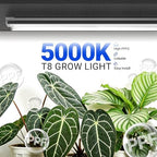Barrina T8 Grow Lights, 2FT 5000K White Full Spectrum Plant Lights, 6 Packs - Image 6