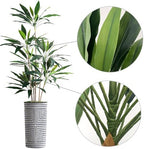 SIGNWIN Artificial Tree in Modern Geometric Pattern Planter, Fake Dracaena Tree Silk Tree for Indoor and Outdoor Home Decoration - 66" Overall Tall (Plant Pot Plus Tree) - Image 7