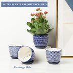Selamica Ceramic Plant Pots, 4.6 Inch Flower Pots for Indoor Plants, Succulent Pots with Drainage Hole & Saucer, Succulent Planters for Succulent Cactus, Home Decor, Set of 4, Vintage Blue - Image 4