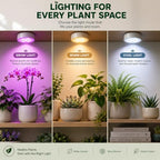 Rechargeable Grow Lights for Indoor Plants, 4000mAh Full Spectrum Wireless Magnetic Puck Grow Lights with Remote Control, Timer, Stepless Dimming and Type-C Charging for Plant Shelf and Flowers - Image 3