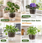 Clear Self Watering Pots for Indoor Plants, 6-Pack 6.7'' Clear Plant Pots with Drainage, Self Watering Planter, African Violet Pot, Semi Hydroponic Pot for Orchids, Flowers, Herbs - Image 7
