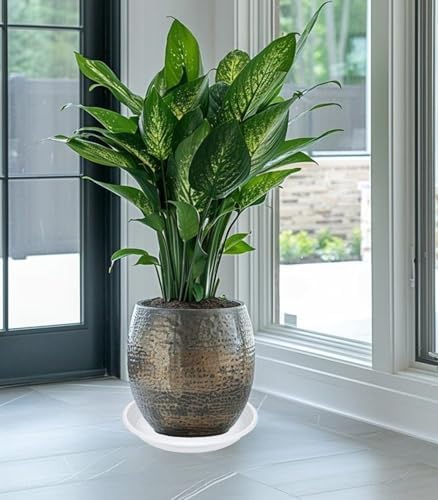 2 Pack of 16 inch Plant Saucer, Large Plant Tray, Heavy Sturdy Plant Drainage Tray for Indoors, Bird Bath Bowls, Sturdy Plastic Pot Tray for Planter (White) - Image 3