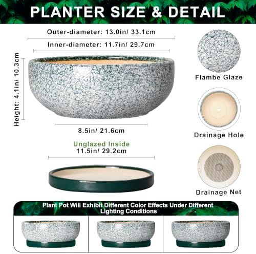 Pots for Succulents, 13 Inch Ceramic Bonsai Pots, Texture Green - Image 2