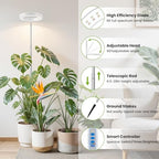 Kullsinss 6.3in Grow Light, Full Spectrum Plant Lights for Indoor Growing - Image 2