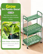 Growell 54 Pods Hydroponics Growing System Kit with Independent Water Pump - Image 6