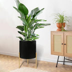 ARNIS Modern Plant Pots, Set of 2 Round Large Planters with Stand, Large Size Metal Pots with Drainage Holes for Living Room, Office, Garden or Balcony, 10.5 &12.25 Inch, Black & Gold - Image 7
