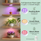 2 Pack Rechargeable Grow Light, Cordless Full Spectrum LED for Indoor Plants, Magnetic Mount, Timer & Remote, USB-C 2000mAh for Shelf, Herbs, Succulents, Seedlings & Greenhouse (White) - Image 4