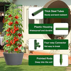 ZeeDix 65 Inch 4 Pack Heavy Duty Tall Tomato Cages for Garden - Image 5