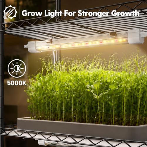 FREELICHT Plant Stand with Grow Light 5-Tier, 4×10W 5000K, 15.7x11.8x61.5IN - Image 3