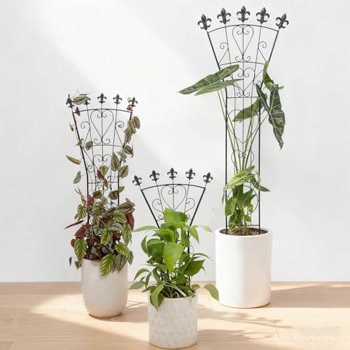 Indoor Trellis for Climbing Plants, 31 Inches 3-Pack for Monstera - Image 3