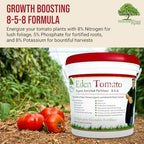 Eden Tomato Organic Enriched Fertilizer | Neem Plant Food 8-5-8 Enriched Formula | for Growing Healthy & Natural Tomatoes (5lbs) - Image 3