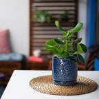 D'vine Dev 2-Pack Embossed Leaves Planter, 4/6 in, Midnight Blue, 27-B-U-3 - Image 7