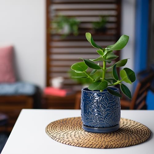 D'vine Dev 2-Pack Embossed Leaves Planter, 4/6 in, Midnight Blue, 27-B-U-3 - Image 7