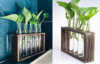 Wall Hanging 5 Test Tube with Wooden Frame and 2 Cylindrical Propagation Vase for Water Plants, Home Office Living Room Decor, Gift for Plant Lovers - Image 3