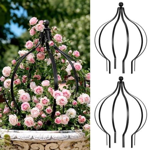 BreezeHug 2 Set Garden Obelisk Trellis Peony Cages and Supports, Circle by Unknown