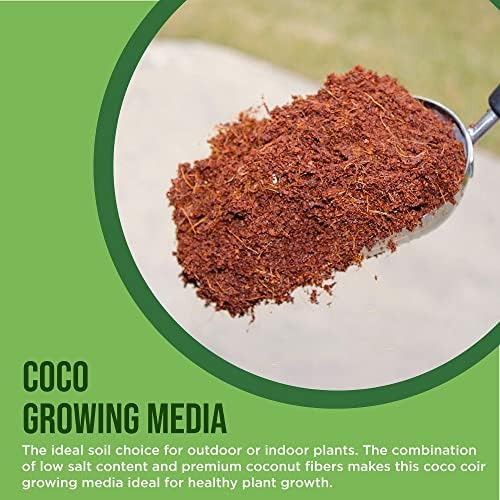Envelor Coco Coir Brick 1.5 Lb Coconut Fiber Indoor Plant Soil 3 Pack - Image 7