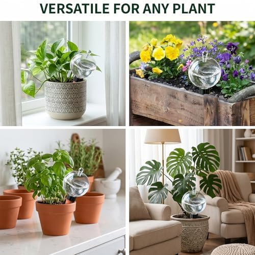 2 Pack 26 oz Extra Large Plant Self Watering Globes to 3 Weeks Watering - Image 6