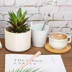 Hopewood Cute Indoor Decor Plants, Artificial Succulent Plants in Ceramic Pots with Bamboo Tray, Faux Potted Plants - Image 2