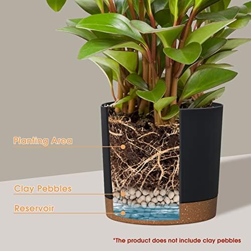kubvici Plant Pots for Indoor Plants, 2 Pack 10 Inch Plant Pot(10" Black) - Image 4