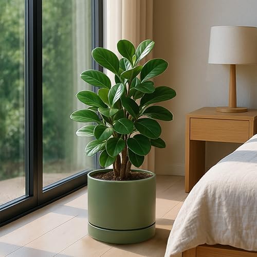 Phoenix Vine 8 Inch Planter Pot with Drainage Hole & Saucer, Deep Water Catch Tray, Straight Cylindrical Round Pot for Plants, Olive, Pack of 2, 23-D-T-2 - Image 6