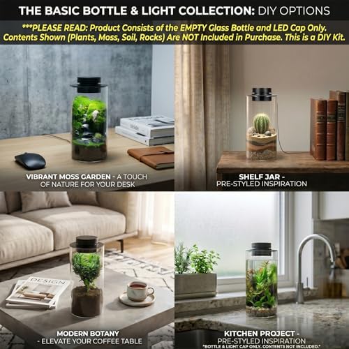 Desktop Glass Plant Terrarium with Grow Light for Carnivorous Plants & Moss - Image 6