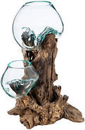 Cape Craftsmen 12" Hand-Blown Blue Tinted Bubble Glass On Natural Teak Driftwood Terrarium Kit | Home Décor Indoor Planter with Stand | Pot for Succulent and Plants by CapeCraftsmen