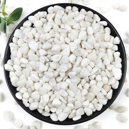 YISZM 10LB Succulent and Cactus Gravel Pebbles, 3/8 Inch White Stones by YISZM-ForYourNaturalLife
