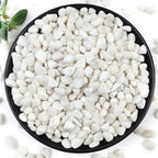 YISZM 10LB Succulent and Cactus Gravel Pebbles, 3/8 Inch White Stones by YISZM-ForYourNaturalLife