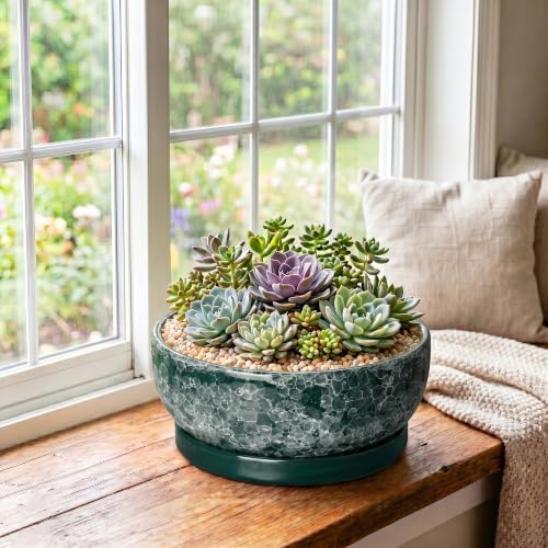 Succulent Pots Ceramic, 10 Inch Bonsai Planter, Droplet Green - Image 3