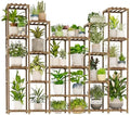 GENTINGBRO 22 Tiers Plant Shelf for Plants Large Indoor Plant Stand Plant Rack Extra Large Wood Plant Stands for Hanging Plant Holder for Patio Balcony Garden by Gentingbro