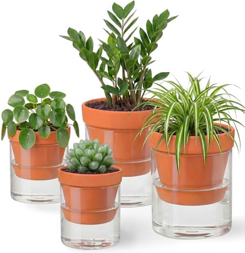 Nuogo 4 Inch 6 Inch 4 Pack Self Watering Pot for Indoor Plants Terracotta Clay Pot with Cylinder Glass Reservoir Cylinder Terracotta Planter with Glass Vase for Indoor Outdoor Plants Herbs Flowers by Nuogo