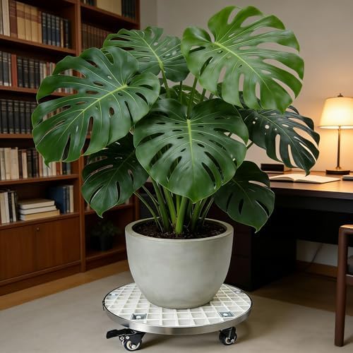 ARTLINE 23" Heavy Duty Plant Caddy with Wheels, Large Round Rolling Planter Stand Roller Base for Potted Trees up to 800lbs, Durable Indoor Outdoor Plant Dolly for Moving Heavy Pots, Trash Cans & Appliances, White - Image 6