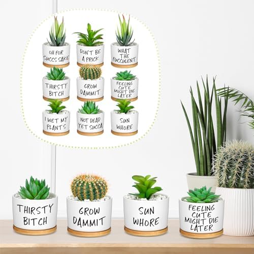 Domensi 9 Pcs Funny Succulent Pots Ceramic Planters Bamboo Tray,Funny - Image 4