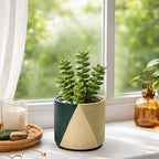 D'vine Dev 2-Pack Cachepot with Clear Pot, 4.5 in, Desert Forest, 93-V-B-1 - Image 3