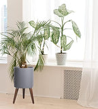 D'vine Dev 12 Inch Planter Pot with Wood Stand, Grey, 88-O-C-3 - Image 5