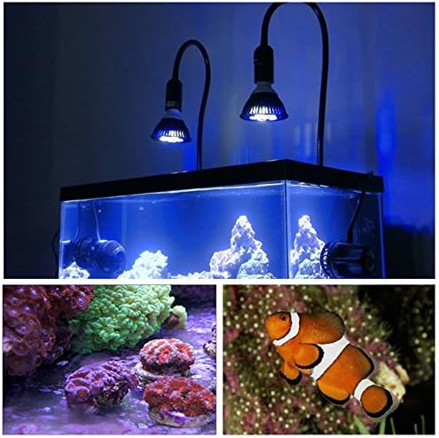 LED Aquarium Blue Light Blub, 18W (36W Equivalent) LED Plant Grow Light Bulb with 450-460nm Blue LEDs for Indoor Plants Veg and Aquarium Plants Growing - Image 3