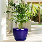 Ceramicfor Ceramic Plant Pot 8 Inch, Planter for Indoor Plants, Royal Blue - Image 5