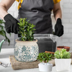 7.7" Large Ceramic Plant Pot Beige Green Vintage Peony Crackle Glaze Rustic Flowers Pot Decorative Planter with Drainage for Indoor Outdoor Plants Home Kitchen Office Decor Gift - Image 5