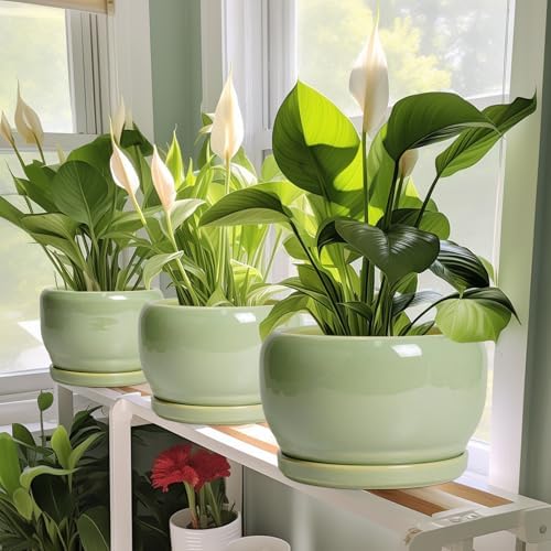 SQOWL Ceramic Planter - 10 Inch Pot for Plants Indoor Outdoor, Round Modern Flower Pot with Drainage Hole and Saucer, Decorative Large Planter, Office Decor, Plant Lovers Gifts, Green - Image 6