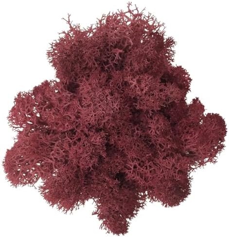 500g Artificial Moss for Crafts, Faux Decorative Plant for DIY Walls Wedding Party Table Centerpieces Home, Wine Red by LKXHarleya