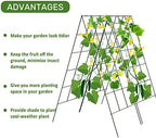 AGTEK 2 Packs 18" x 46" Foldable Cucumber Trellis for Cucumber, Climbing Plants, Vegetable Flowers - Image 3