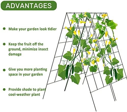 AGTEK 2 Packs 18" x 46" Foldable Cucumber Trellis for Cucumber, Climbing Plants, Vegetable Flowers - Image 3