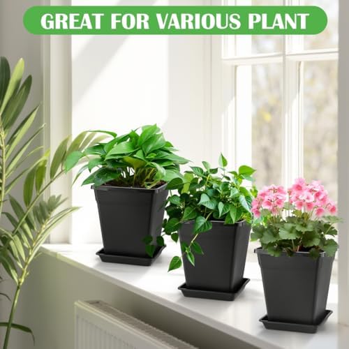 BTPLASTIK Square Plastic Planter 8 Inch, Plant Pots with Drainage Hole & Tray, 10 Pack Modern Decorative Garden Pot with Saucer, 1 Gallon Flower Pots Planters for Indoor Outdoor Plants - Image 6